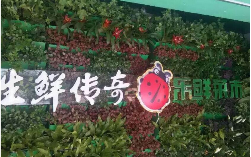 速速圍觀！誰(shuí)敢與樂(lè)城團(tuán)隊(duì)這樣正面PK？